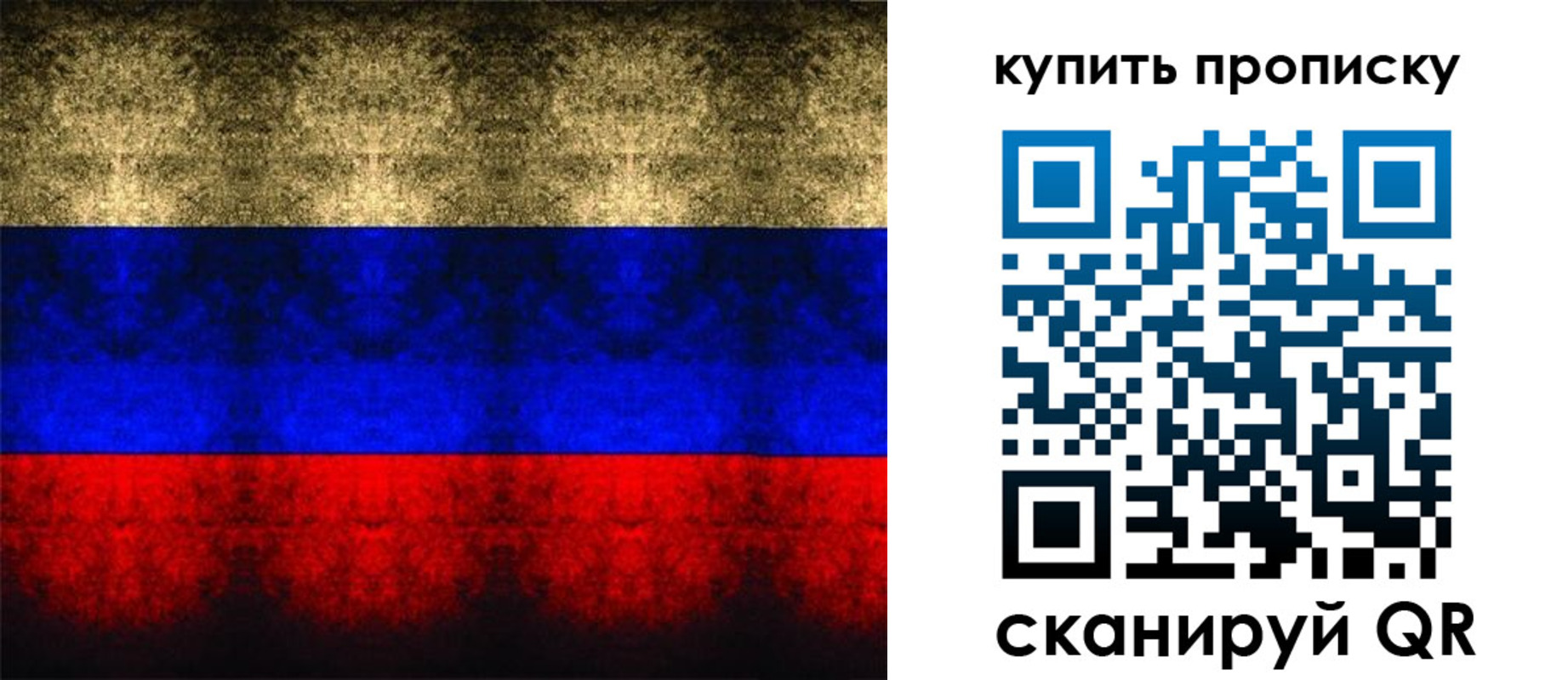 прописка в Бабаево